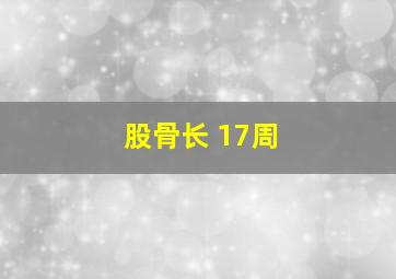 股骨长 17周